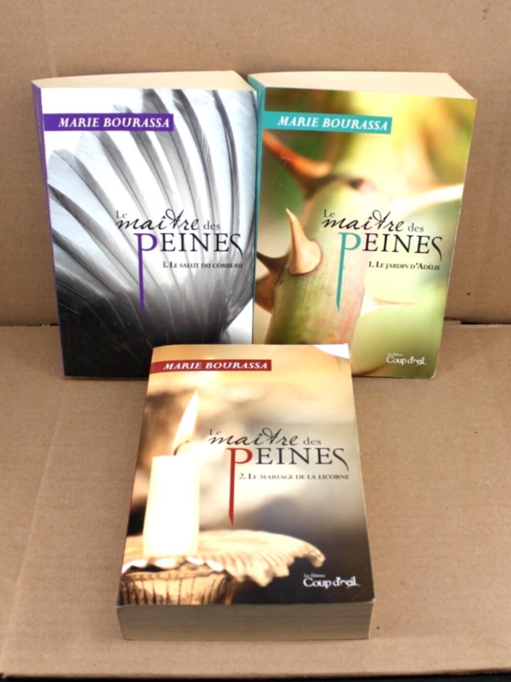 Lot 3 Livres Books - Marie Bourassa - Le Maitre Des Peines French